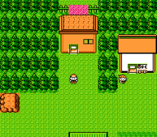 Pocket Monsters - Gold (C)