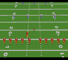 Emmitt Smith Football (USA)