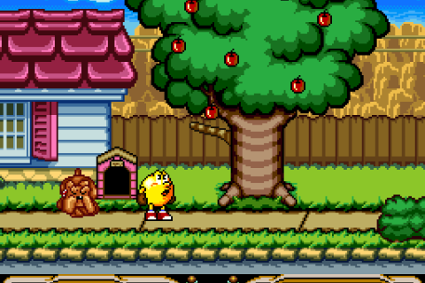 Pac-Man 2 - The New Adventures (USA)
