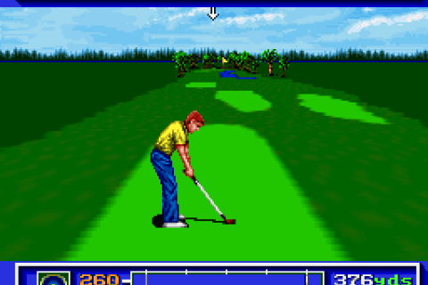 PGA Tour Golf (USA)