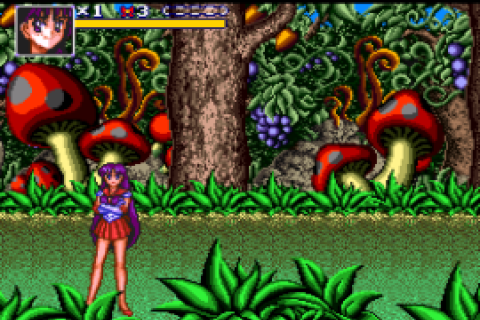 Bishoujo Senshi Sailormoon R (Japan) [En by FuSoYa v1.0] (~Pretty Soldier Sailor Moon R)