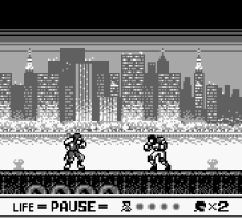 Shadow Warriors (Europe)