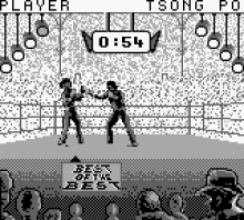 Best of the Best - Championship Karate (Europe)