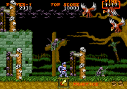 Ghouls 'n Ghosts (USA, Europe)