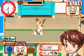 Kawaii Pet Game Gallery (J)(Rising Sun)