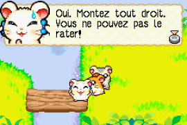 Hamtaro - Rainbow Rescue (E)(Rising Sun)