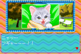 Nakayoshi Pet Advance Series 3 Kawaii Koneko (J)(Chakky)