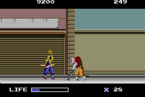 Ninja Warriors, The (Japan)