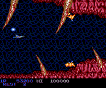 Salamander (Japan)