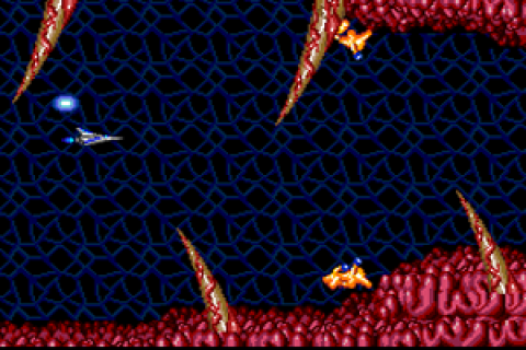 Salamander (Japan)