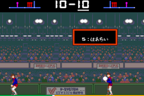Super Volleyball (Japan)