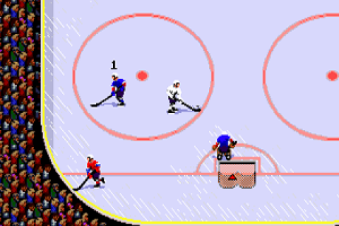 TV Sports Hockey (USA)