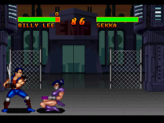 Double Dragon V - The Shadow Falls (World)