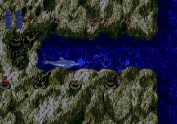 Ecco the Dolphin