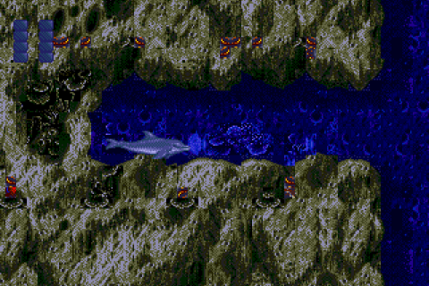 Ecco the Dolphin