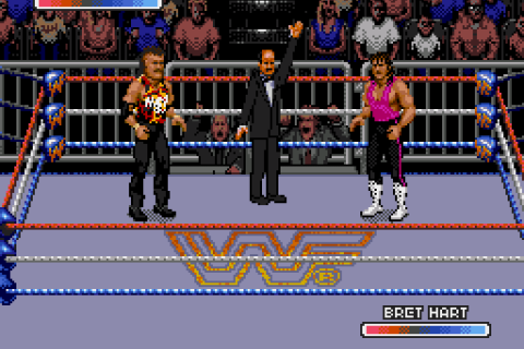WWF Rage in the Cage