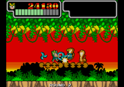 Wonder Boy III - Monster Lair (set 3, World, System 16B, FD1094 317-0089 decrypted) [Bootleg]