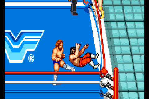 WWF Superstars (bootleg) [Bootleg]